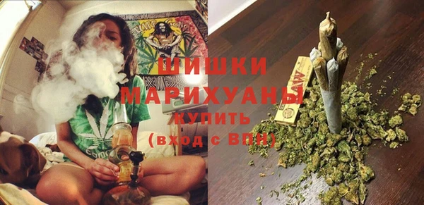тгк Весьегонск