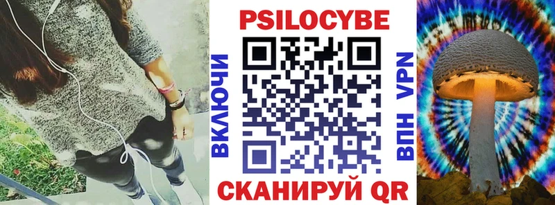 Галлюциногенные грибы Cubensis  Гурьевск 